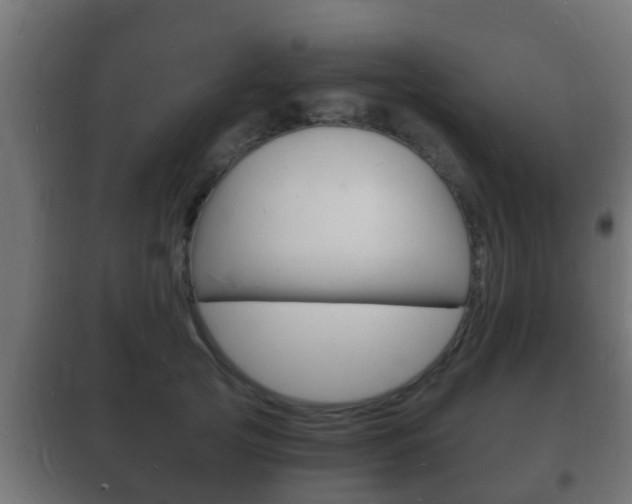 X0000102220753200807250746