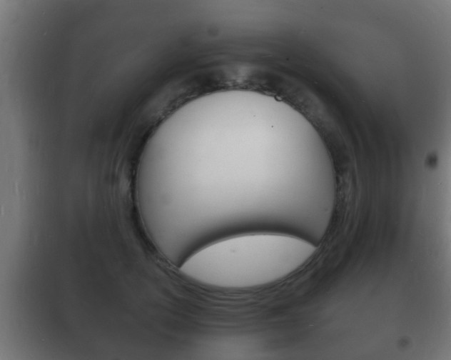 X0000102220754200807250746