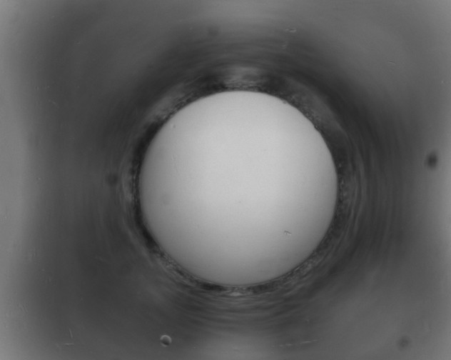 X0000102220755200807250746