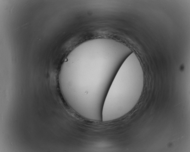X0000102220757200807250746