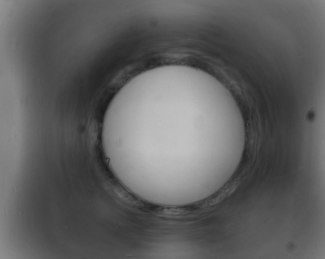 X0000102220758200807250746