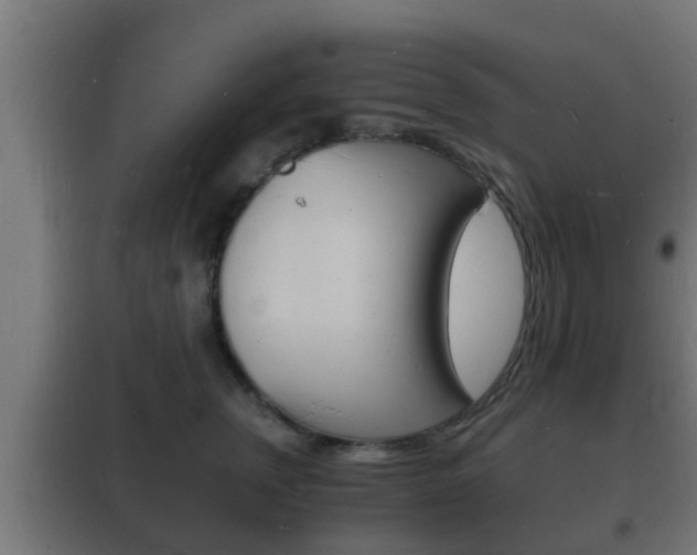 X0000102220759200807250746