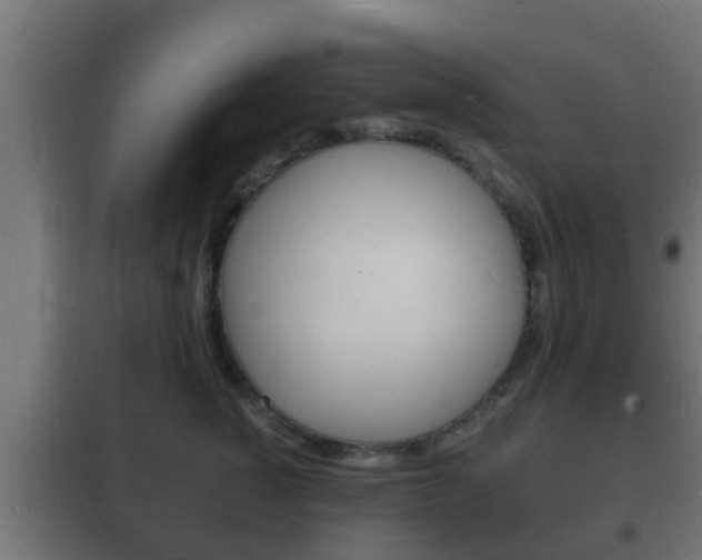 X0000102220760200807250746