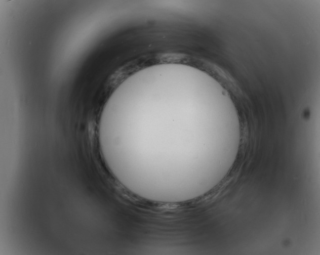 X0000102220761200807250746
