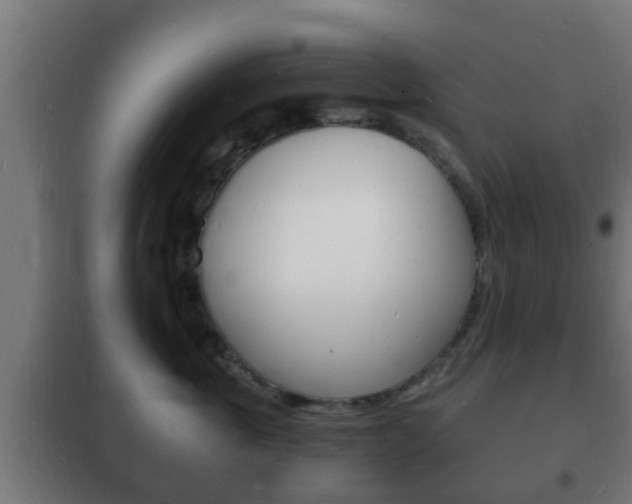 X0000102220763200807250746