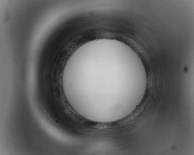 X0000102220764200807250746