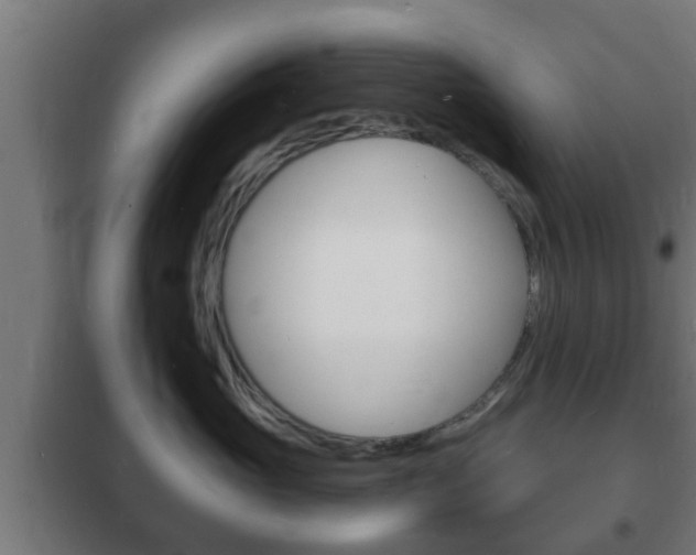 X0000102220765200807250746