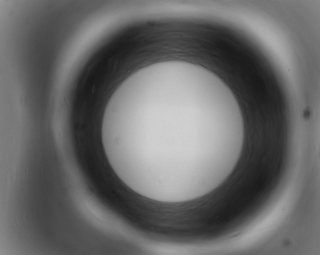 X0000102220766200807250746