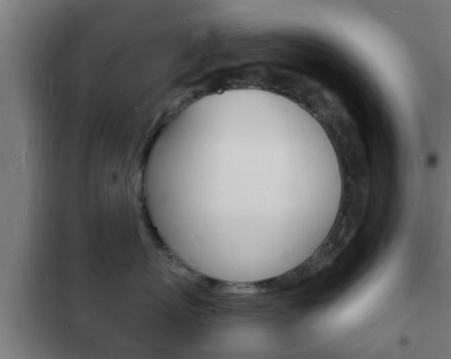X0000102220767200807250746