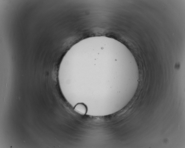 X0000102220768200807250746