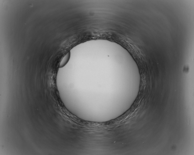 X0000102220770200807250745