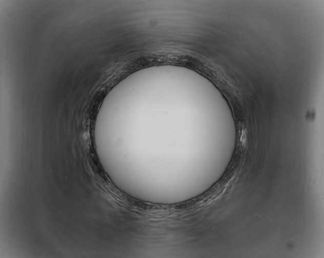 X0000102220771200807250745
