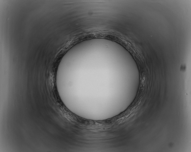 X0000102220772200807250745