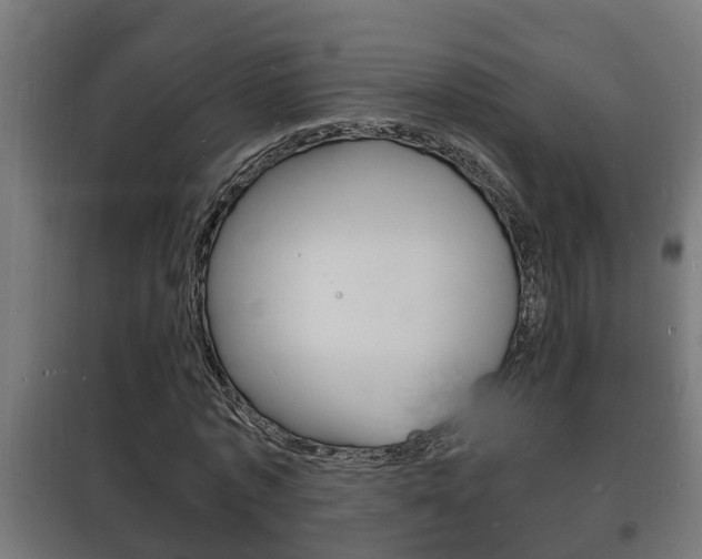 X0000102220773200807250745
