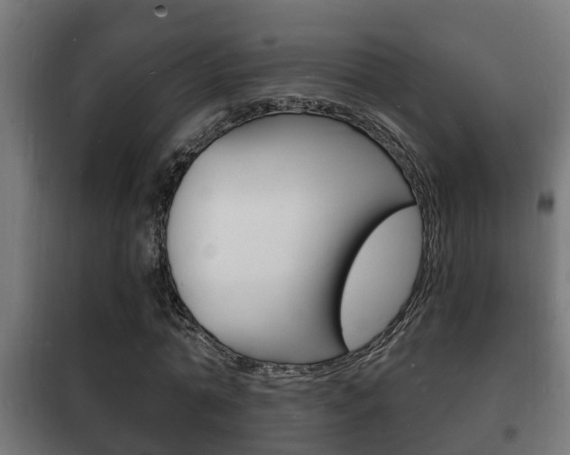 X0000102220774200807250745