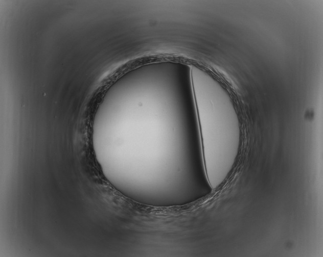 X0000102220776200807250745