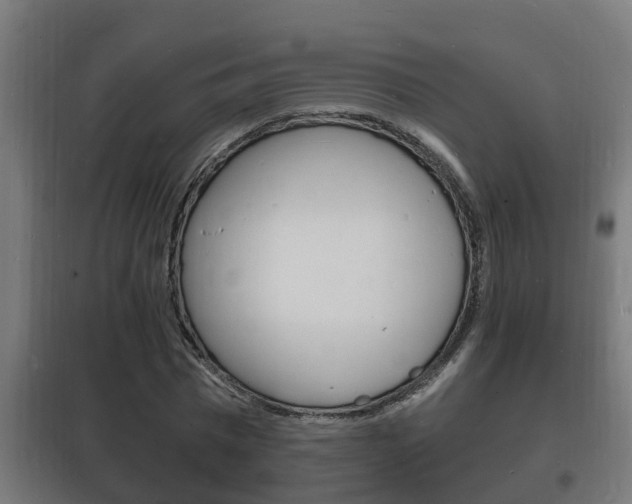 X0000102220777200807250745