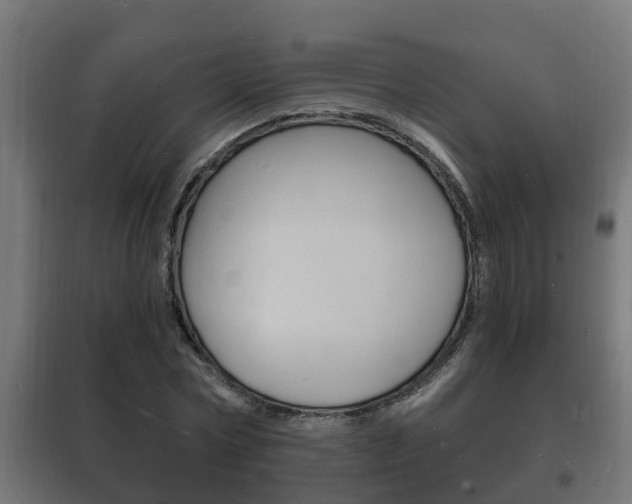 X0000102220778200807250745