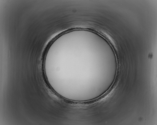 X0000102220779200807250745