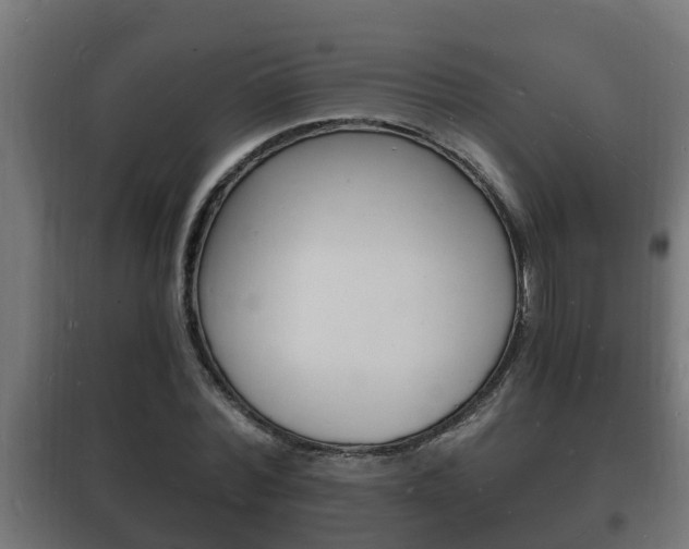 X0000102220780200807250745