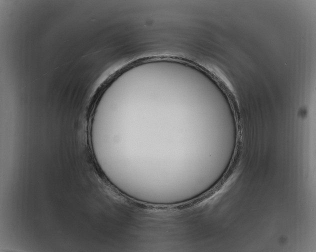 X0000102220781200807250745