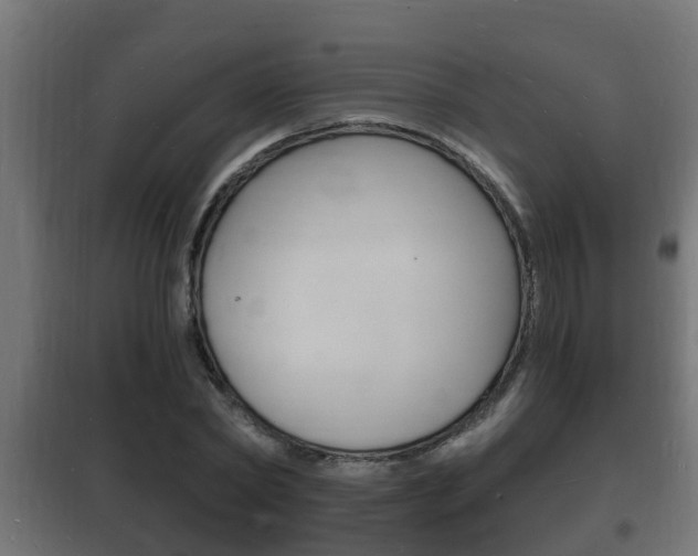 X0000102220782200807250745