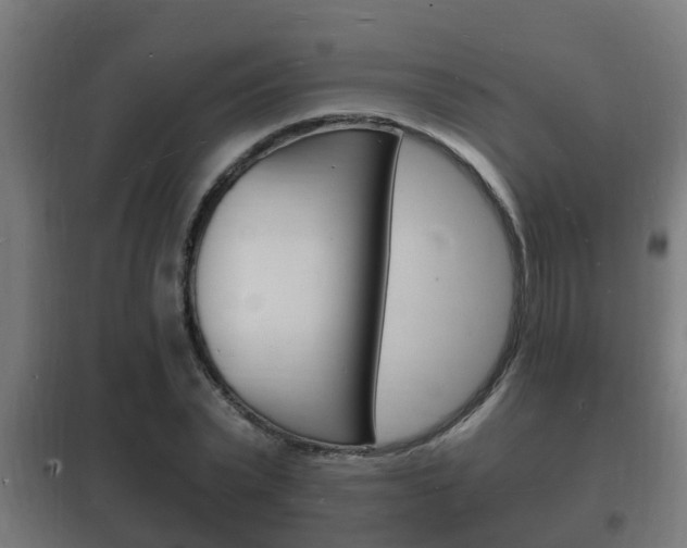 X0000102220783200807250745
