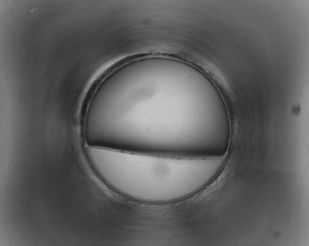 X0000102220784200807250745