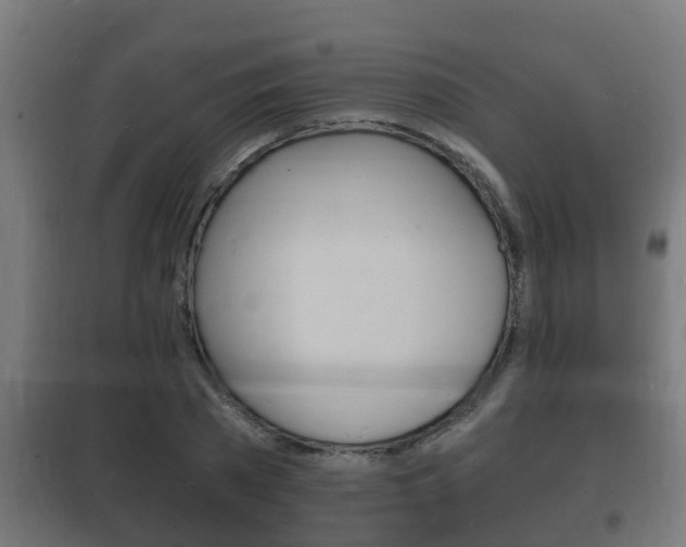 X0000102220785200807250745