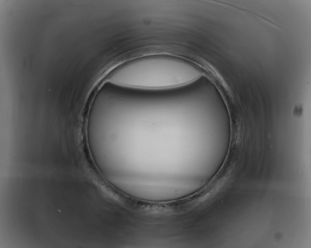 X0000102220786200807250745