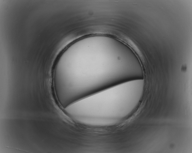 X0000102220787200807250745