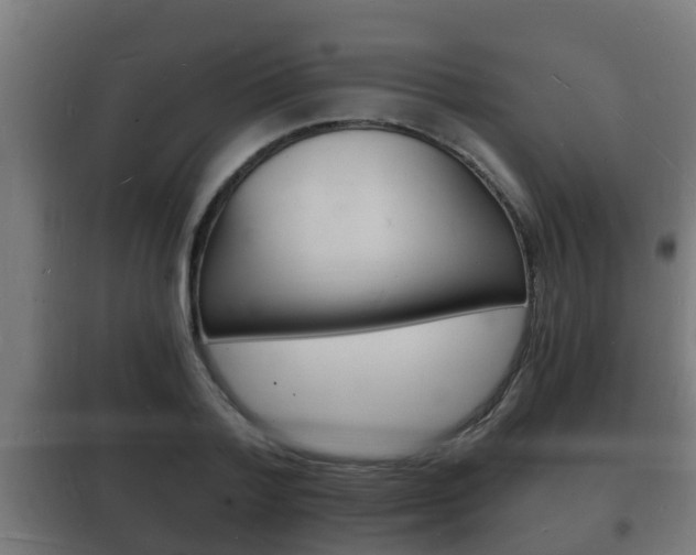 X0000102220788200807250745