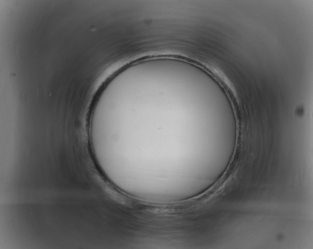 X0000102220789200807250745