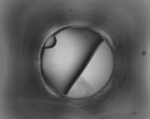 X0000102220792200807250745