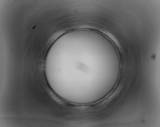 X0000102220793200807250745