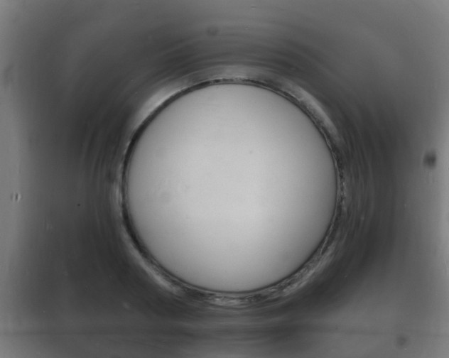 X0000102220794200807250745