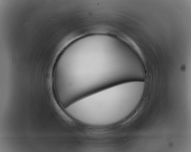 X0000102220795200807250745