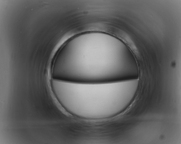 X0000102220796200807250745