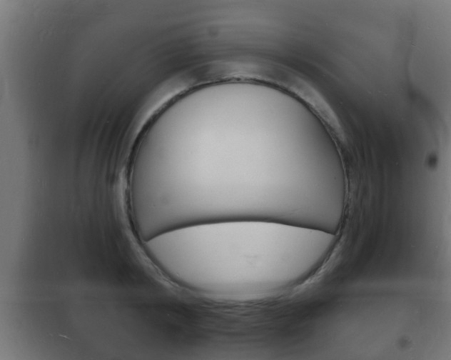 X0000102220798200807250745