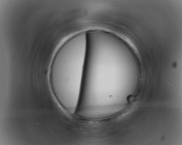 X0000102220799200807250745