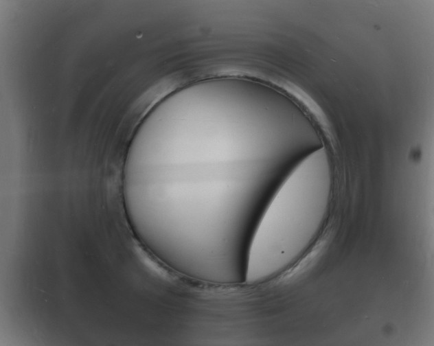 X0000102220801200807250745