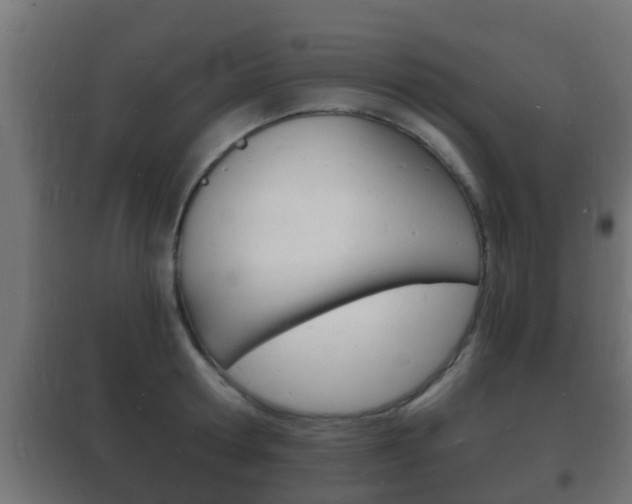X0000102220802200807250745