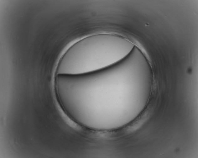 X0000102220803200807250745