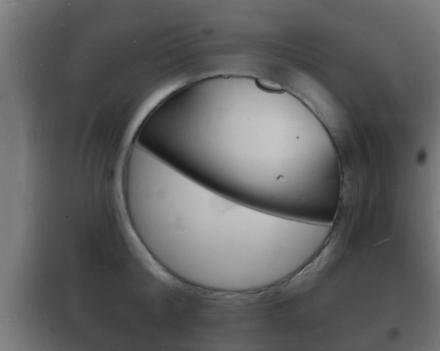 X0000102220804200807250745