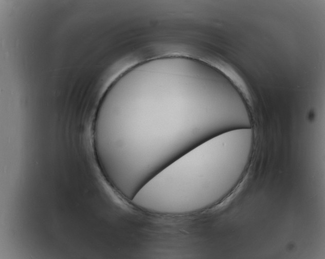 X0000102220806200807250745
