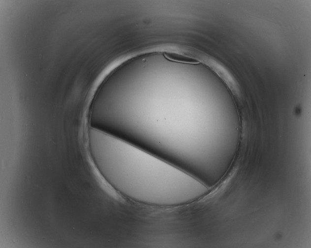 X0000102220808200807250745
