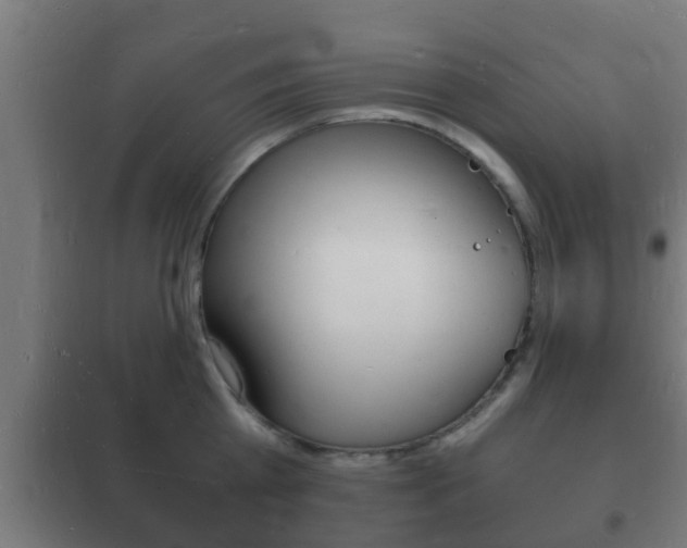X0000102220809200807250745