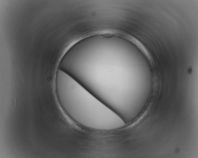 X0000102220810200807250745