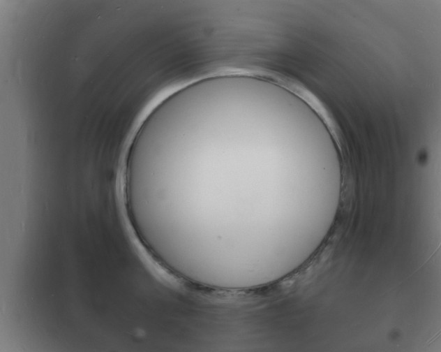 X0000102220811200807250745