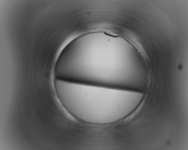 X0000102220812200807250745